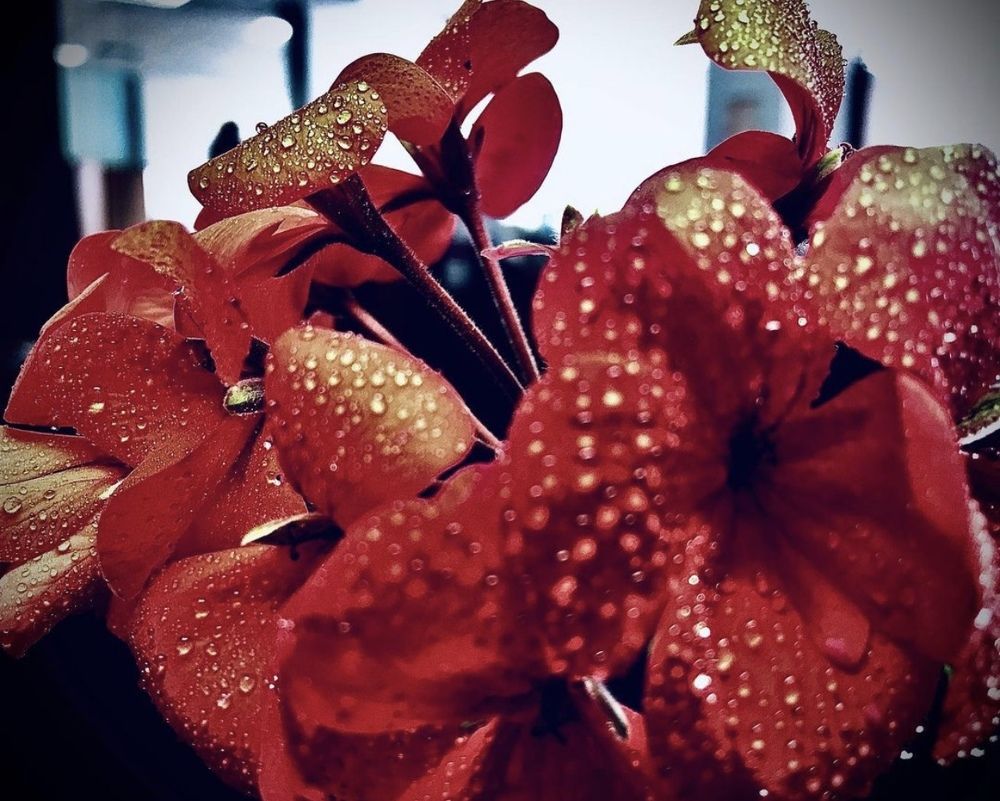 Photograph by Марина Платонова