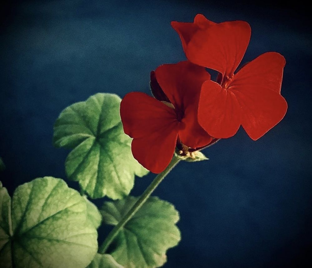 Photograph by Марина Платонова