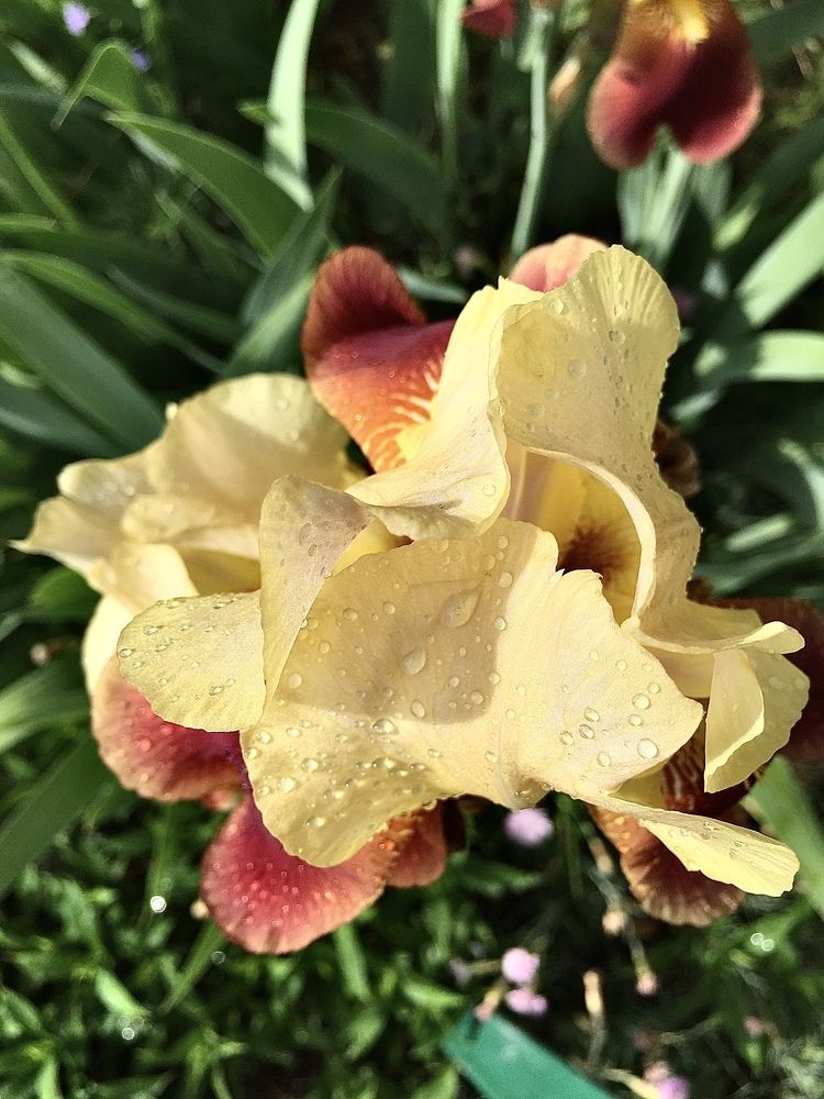 Photograph by Марина Платонова