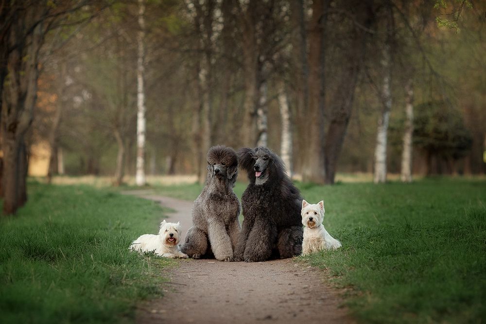 Photograph by Чистякова Валерия