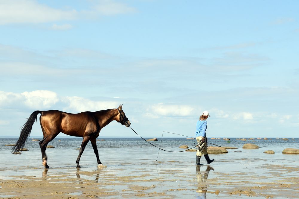 Photograph by Крицак Ольга