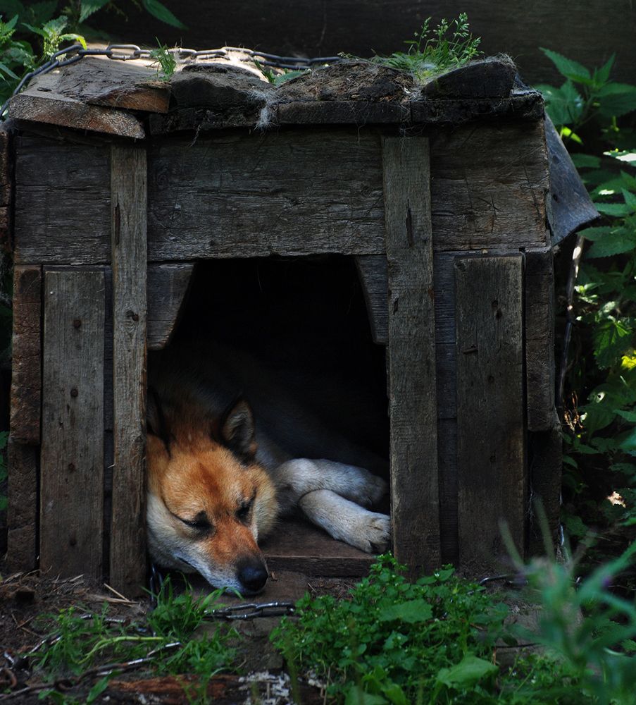 Photograph by Крицак Ольга