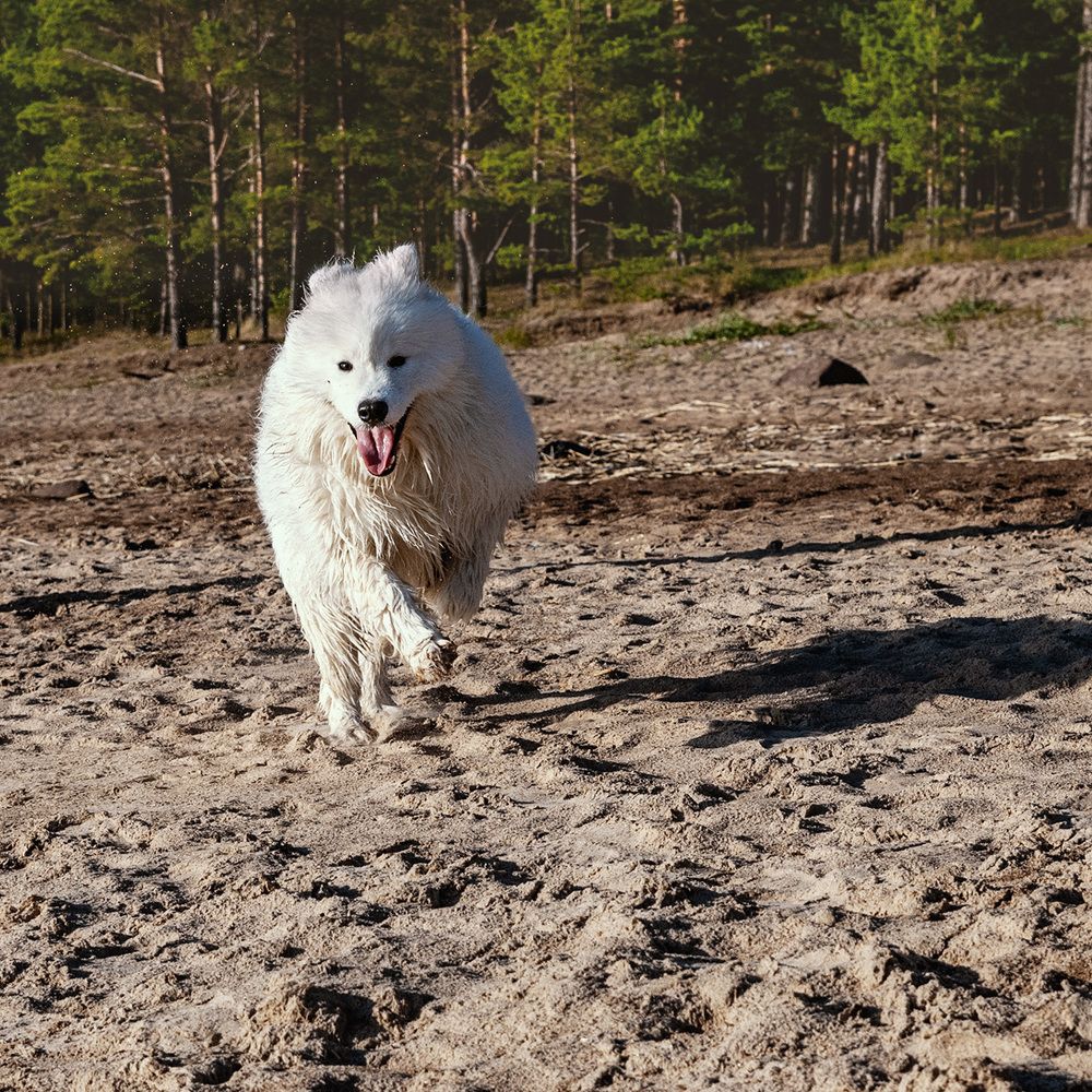 Photograph by Крицак Ольга