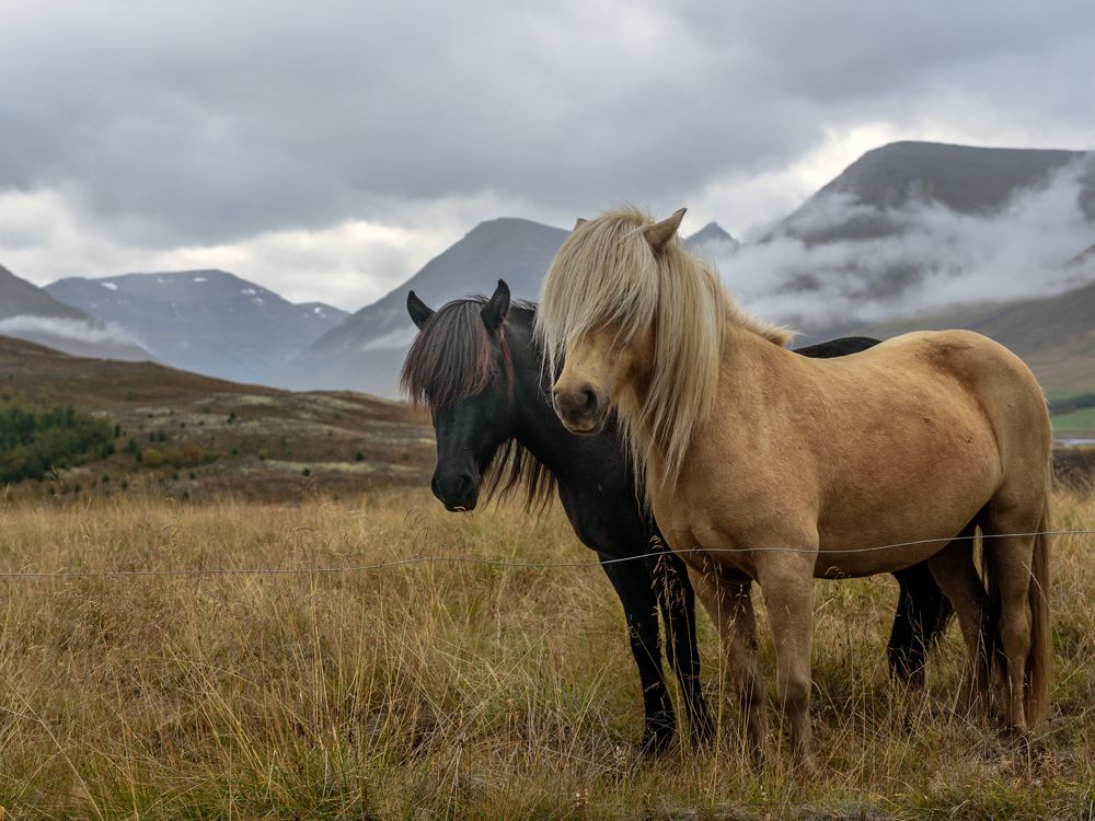 Photograph by Крицак Ольга
