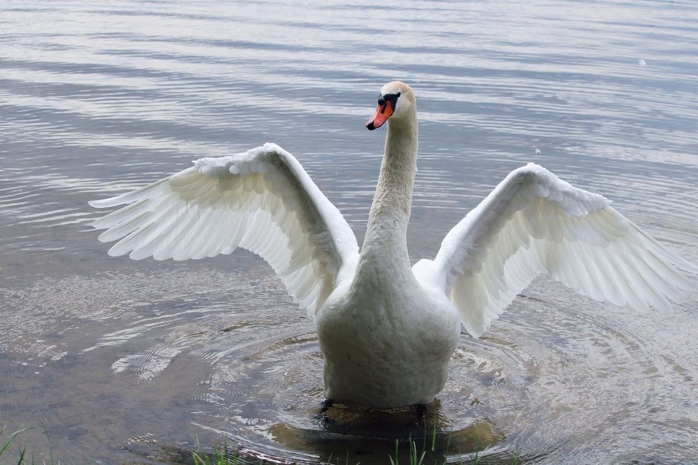 Photograph by Юлия Гаврильчик