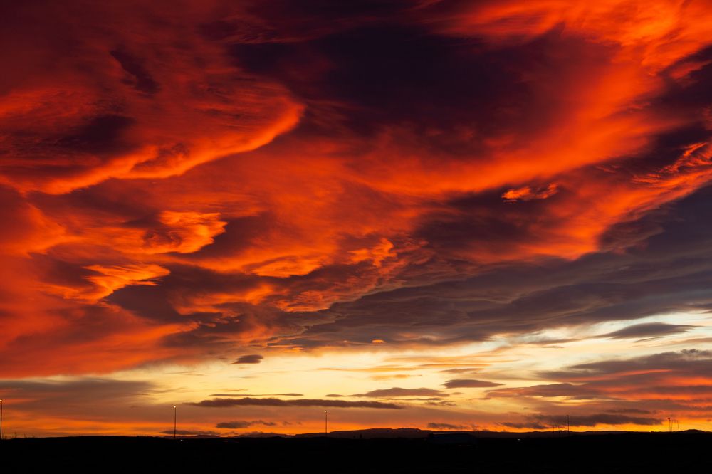 Photograph by Helena Benediktsdottir