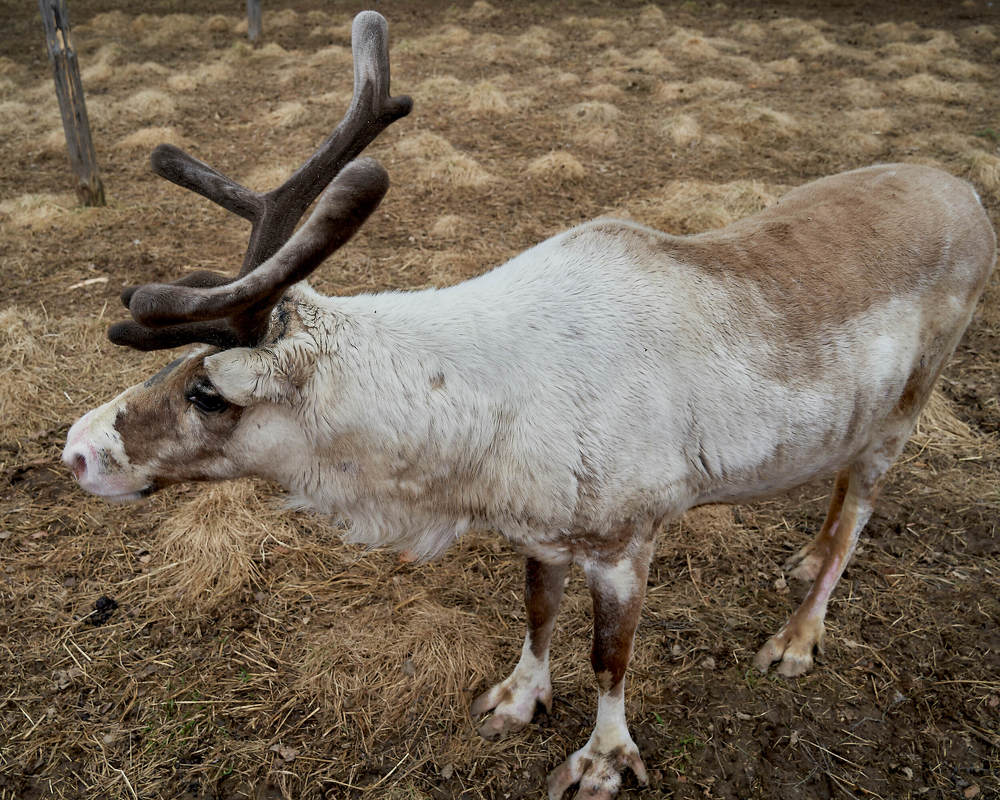 Photograph by Елена Мормоль