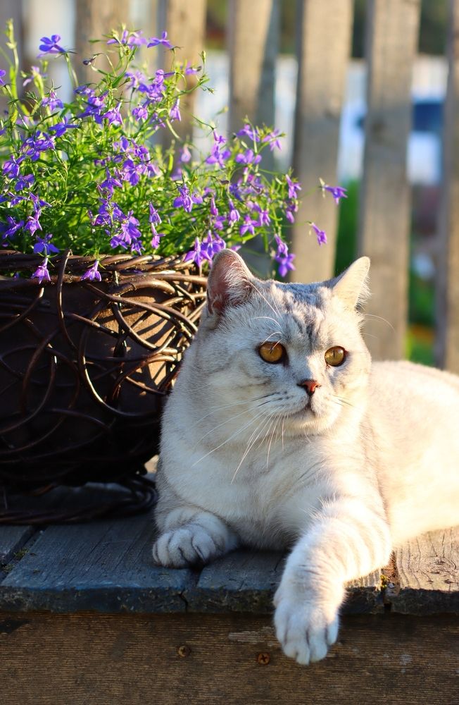 Photograph by Татьяна