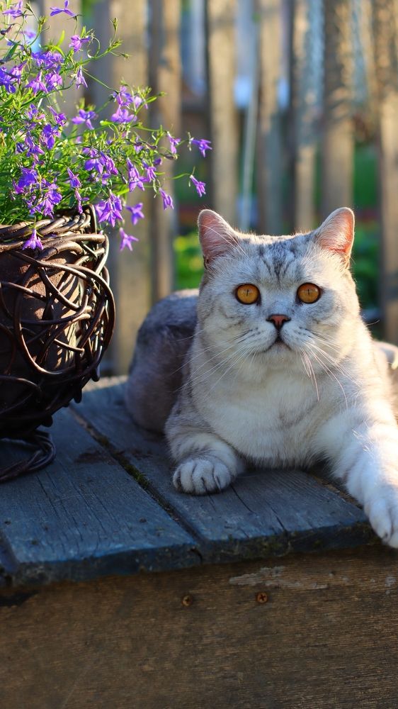 Photograph by Татьяна