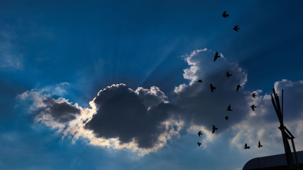 Photograph by Manjri Saxena