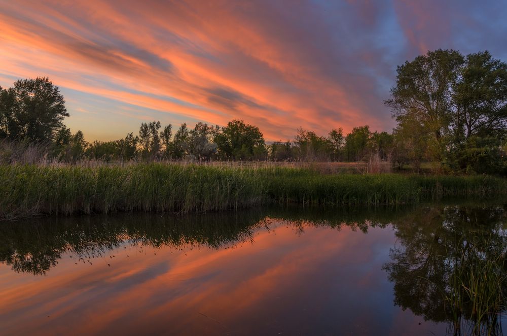 Photograph by Andrey Vasilyev