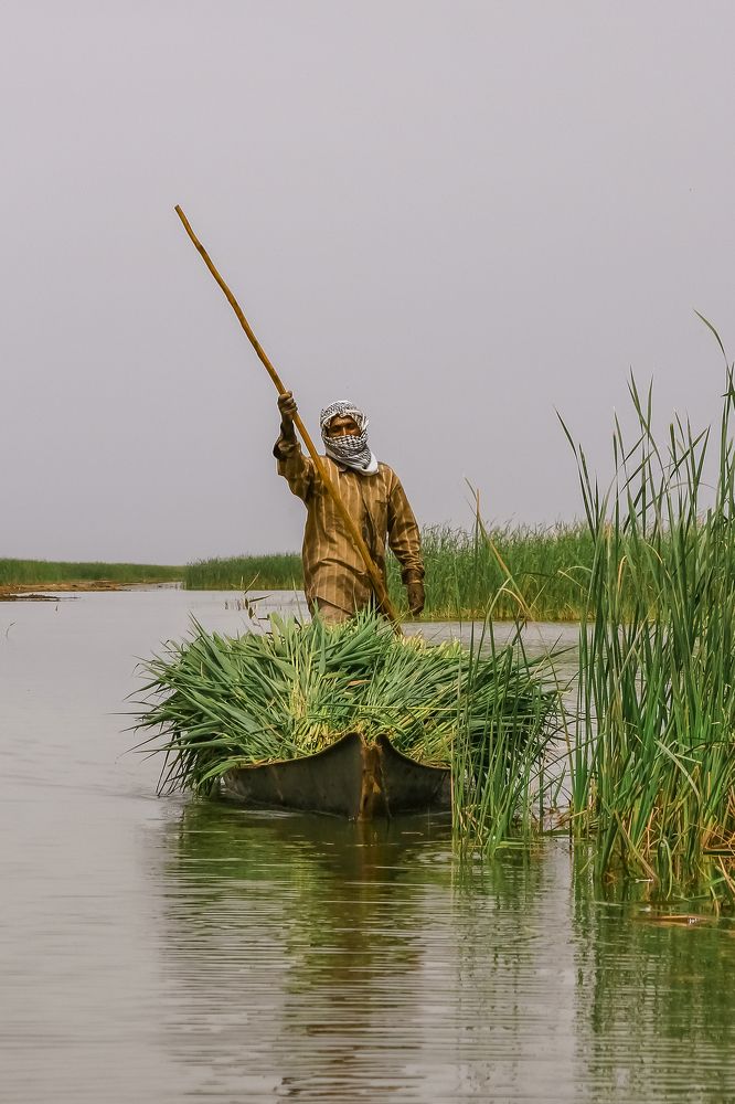 Photograph by meethaq naeem