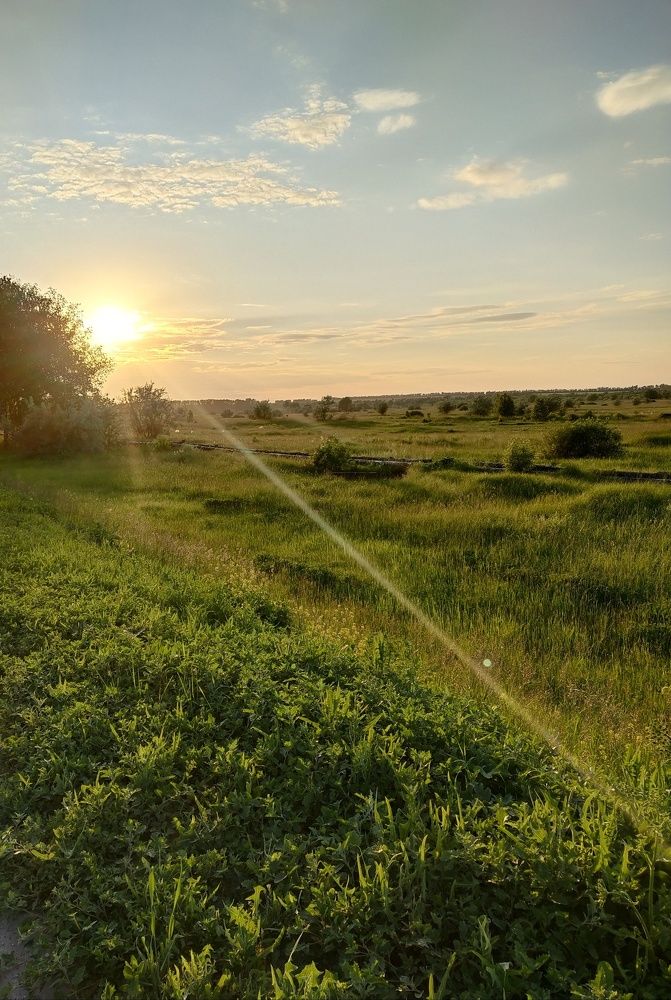 Photo #6162678