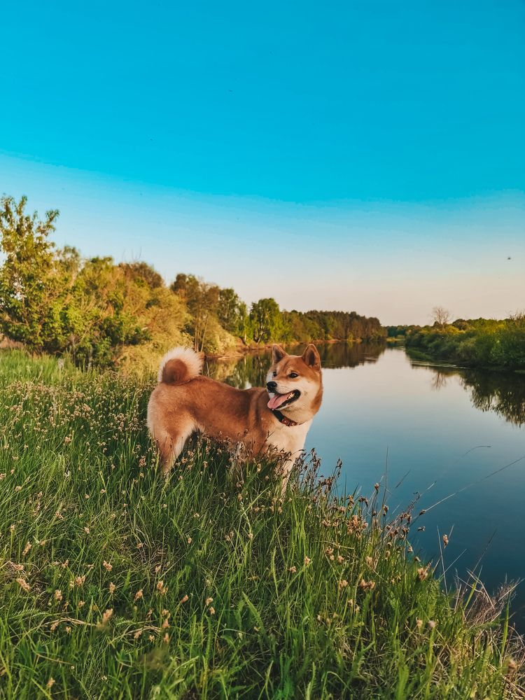 Photograph by Екатерина Фурсова