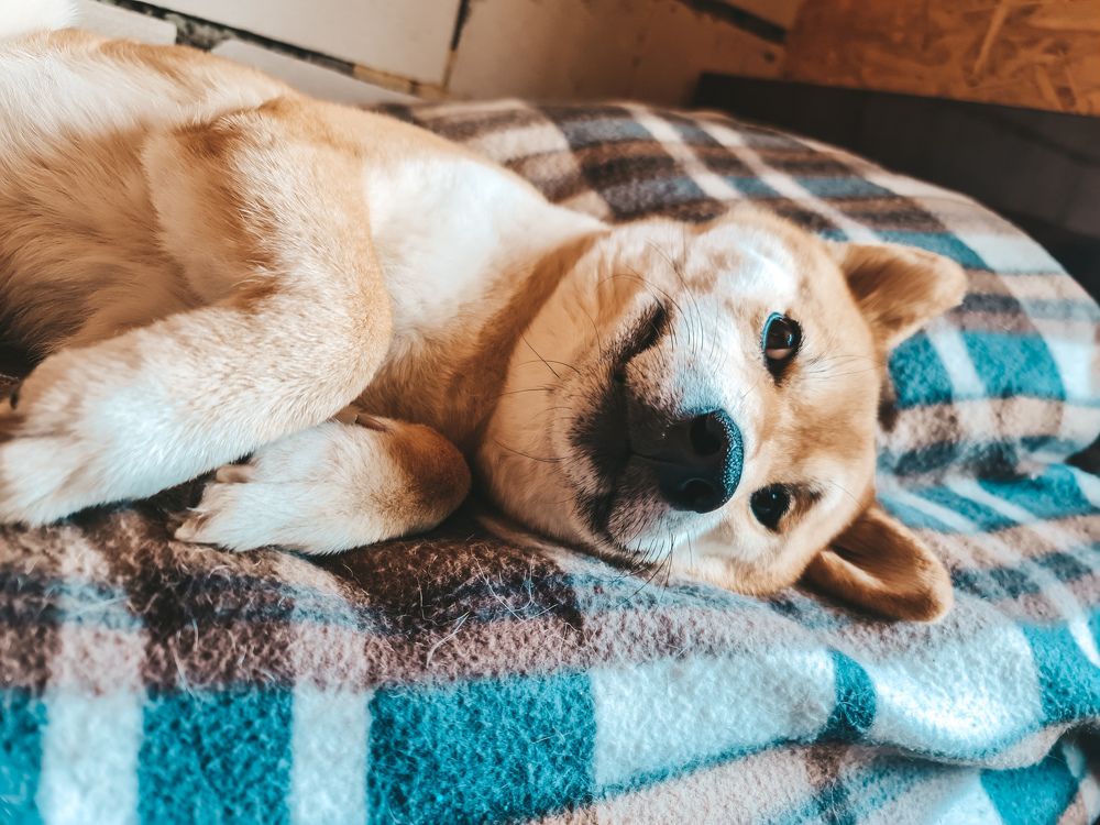 Photograph by Екатерина Фурсова