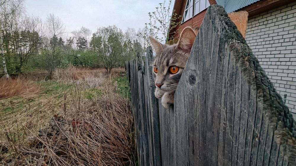 Photograph by Екатерина Фурсова