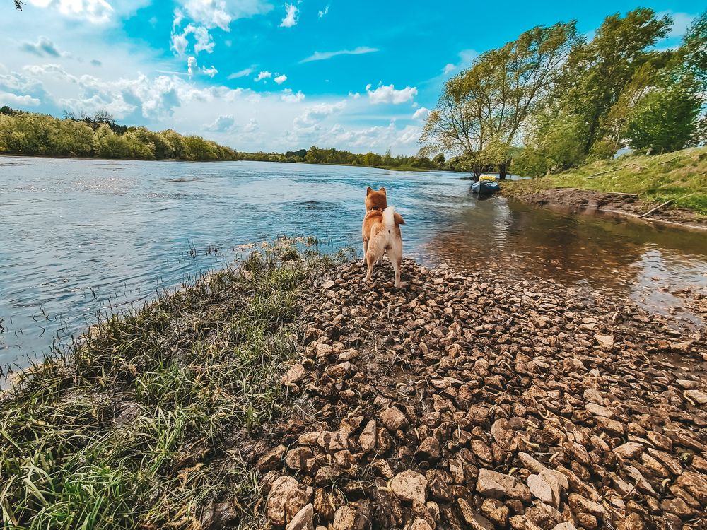 Photograph by Екатерина Фурсова