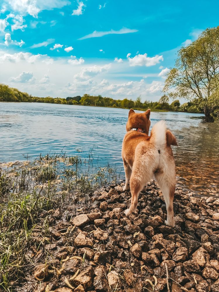 Photograph by Екатерина Фурсова