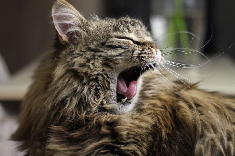 Photograph by Александра Ануфриева