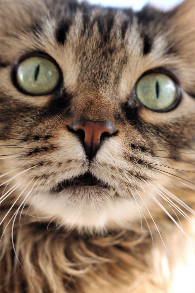 Photograph by Александра Ануфриева