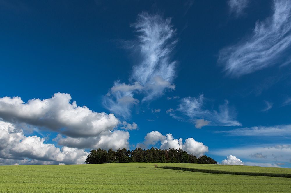 Photograph by Alexey Fedorov