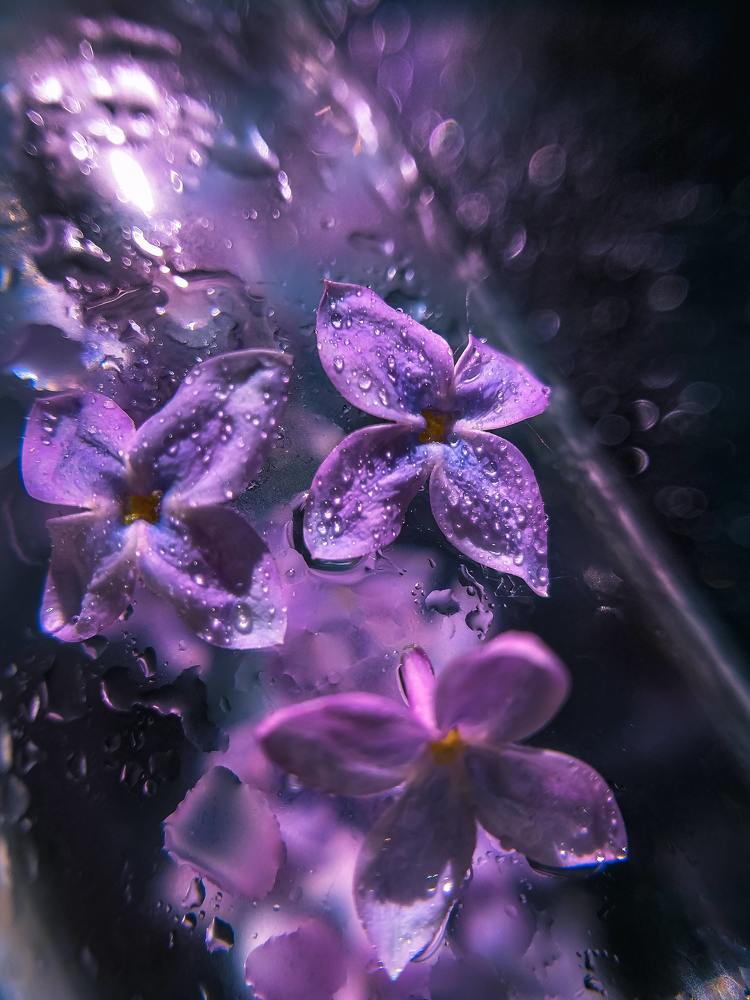 Photograph by Наташа Черепенина