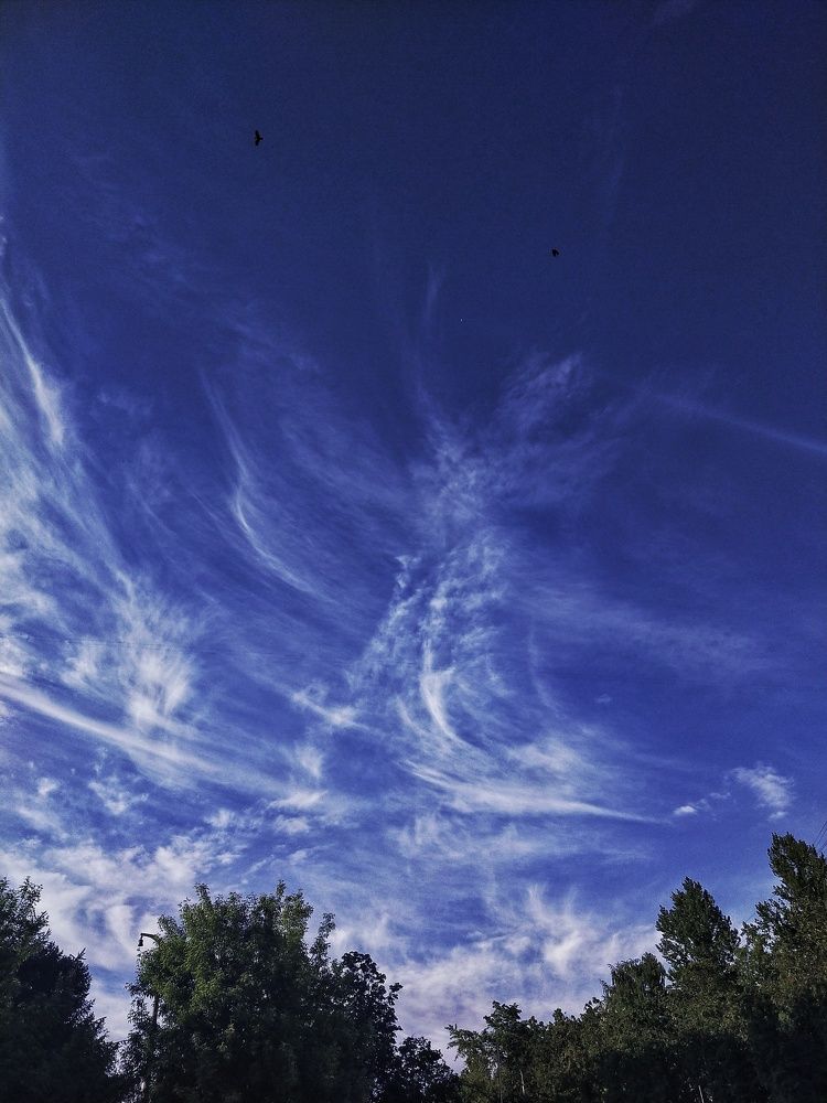 Photograph by Миллена Неро