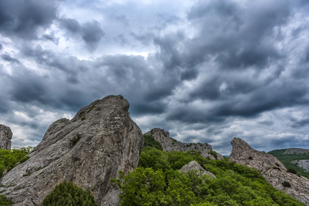 Photograph by Анна Кривицкая