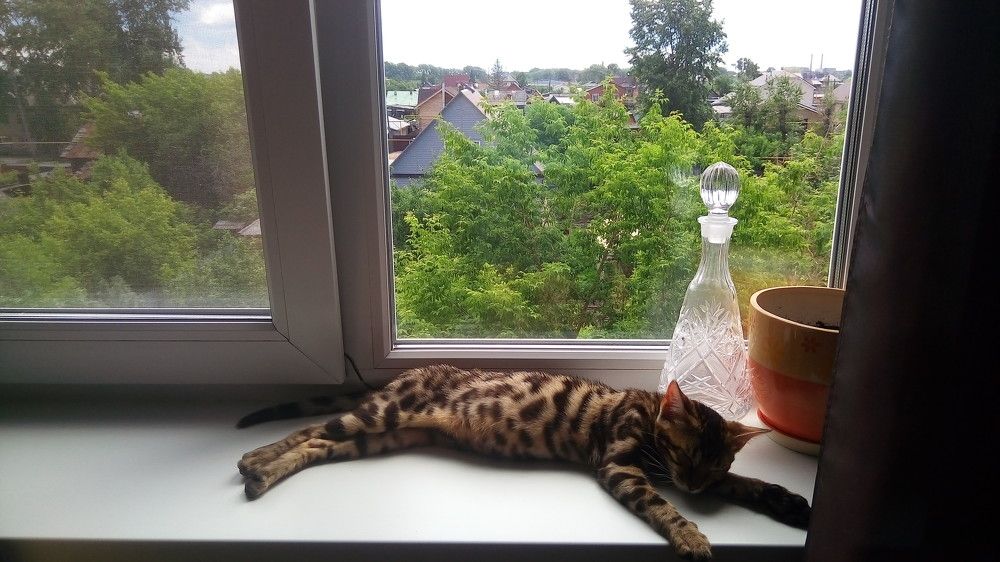 Photograph by Вячеслав Чирин