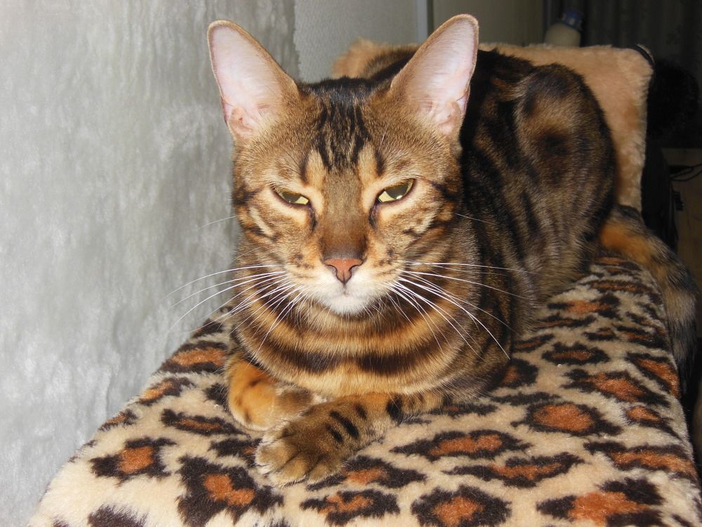 Photograph by Вячеслав Чирин