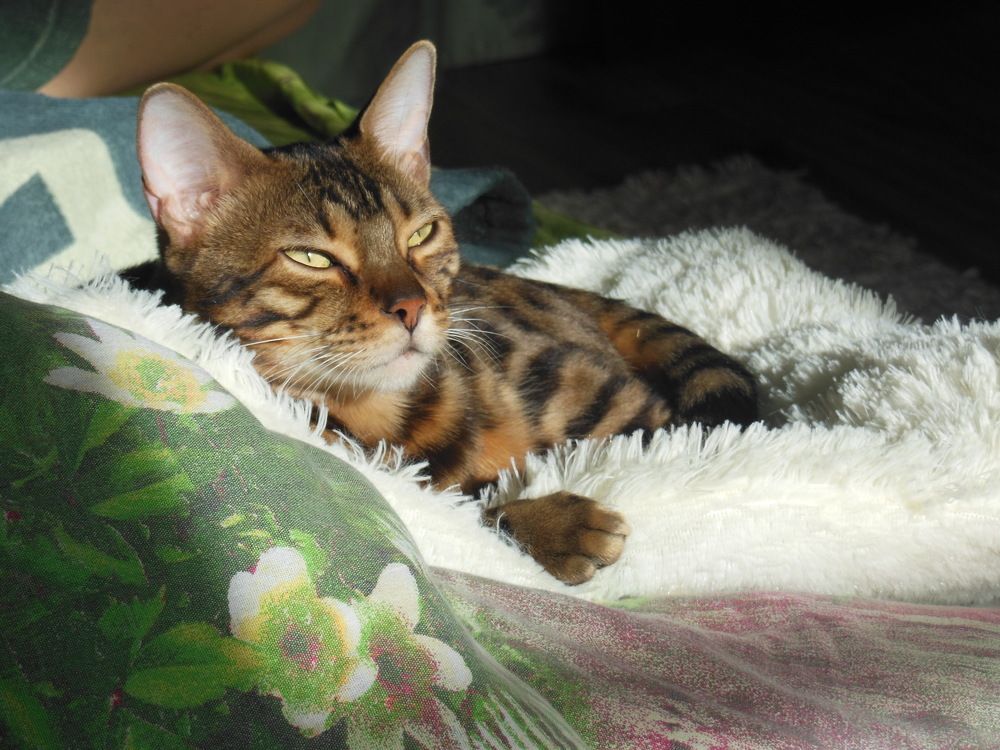 Photograph by Вячеслав Чирин