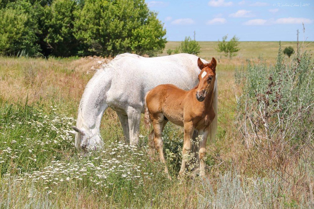 Мама и малыш