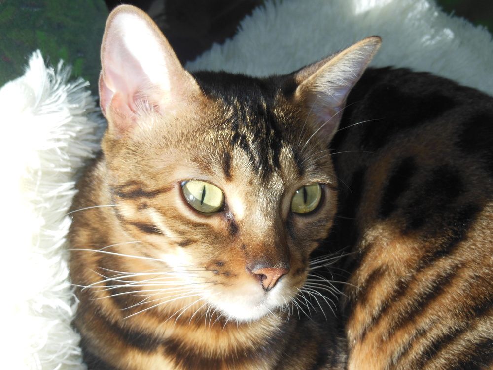 Photograph by Вячеслав Чирин