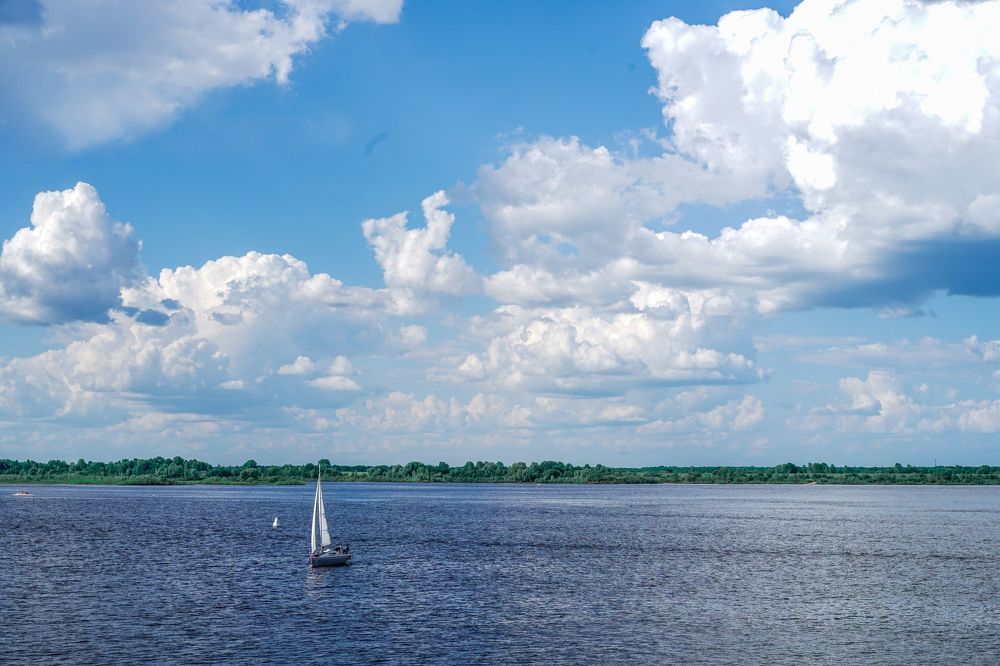 Фотография автора Василиса Новикова