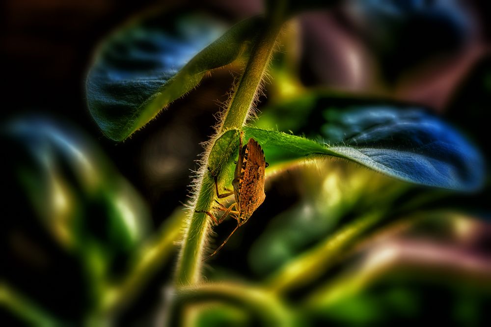 Photograph by Владимир Кваша