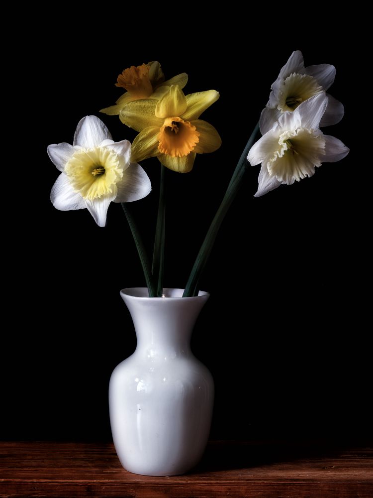 Photograph by Владимир Кваша