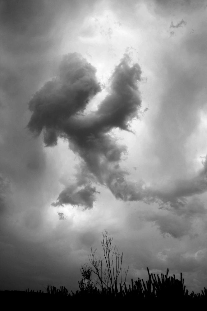 Photograph by Maxim Balakhovskii