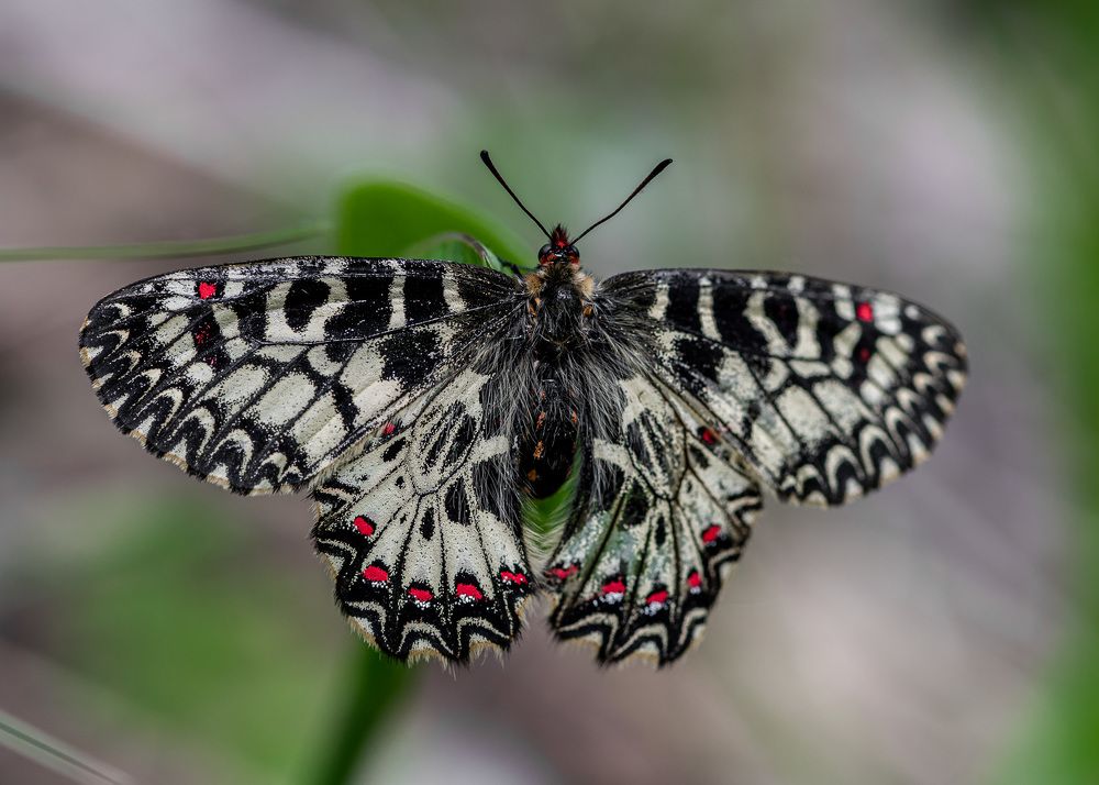 Photograph by Дмитрий Крючков