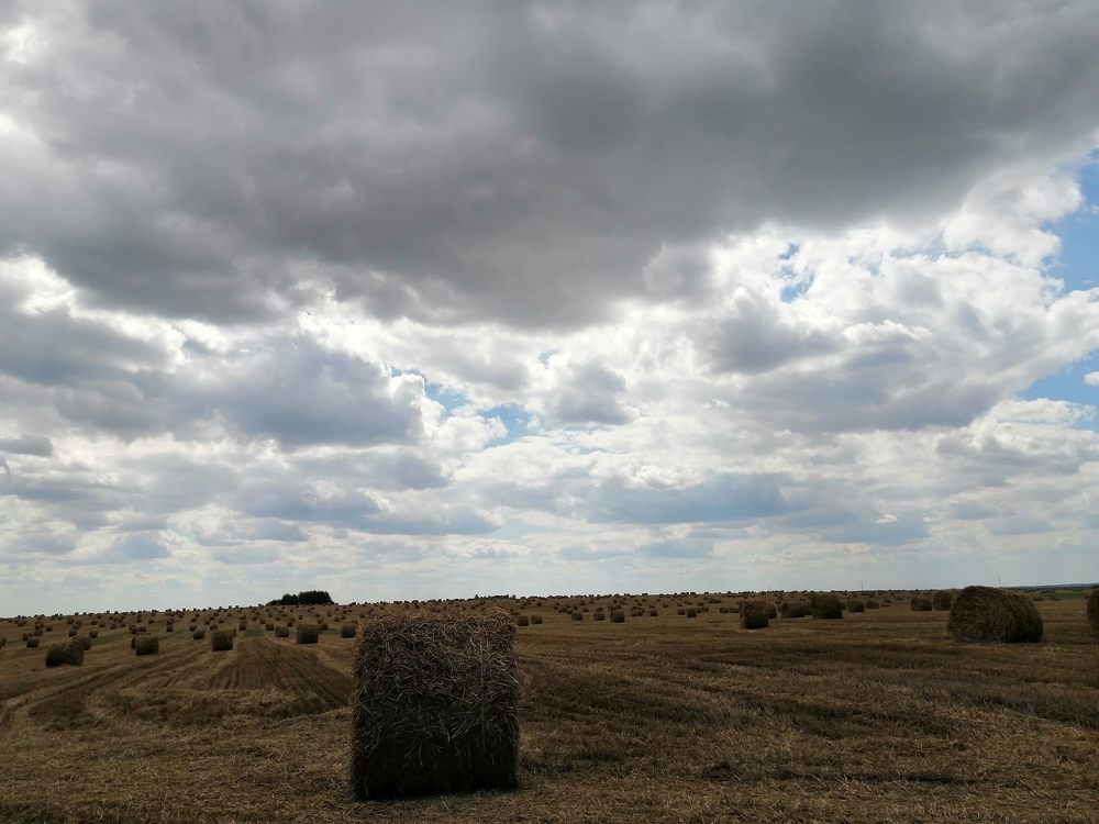 Фотография автора Екатерина