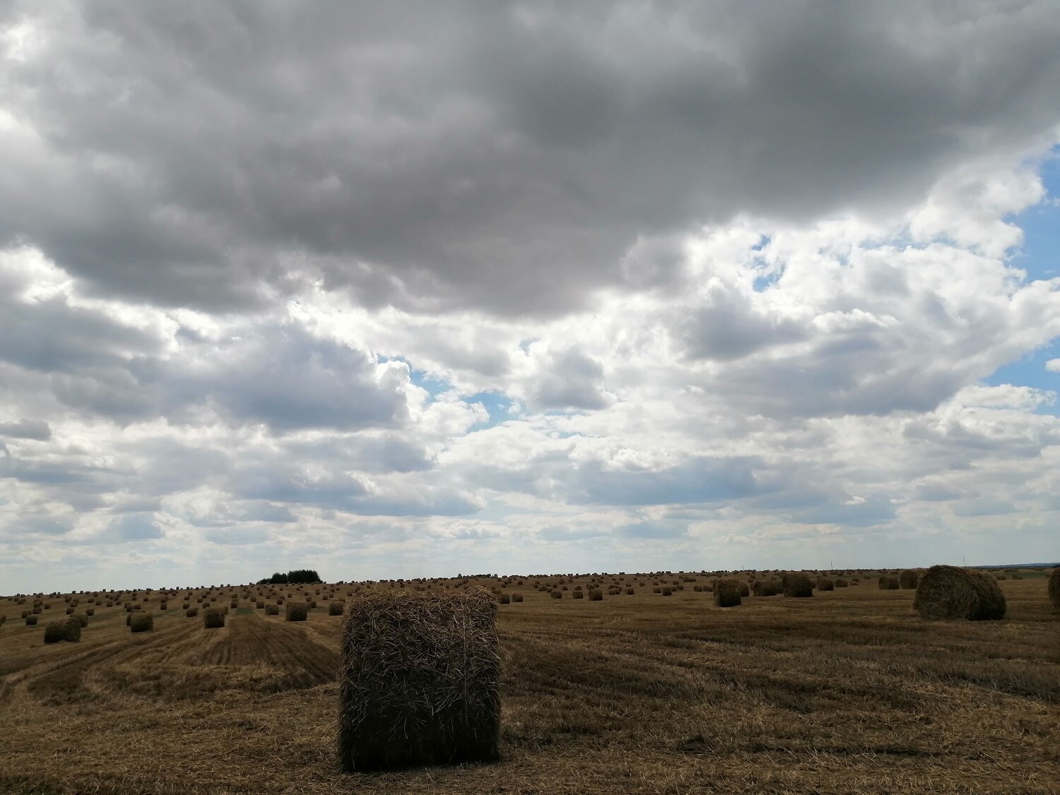Photo #6162930