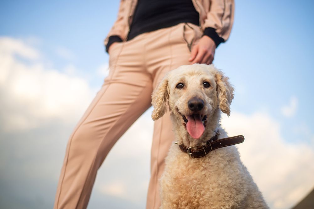 Photograph by Hanna Zapylaieva