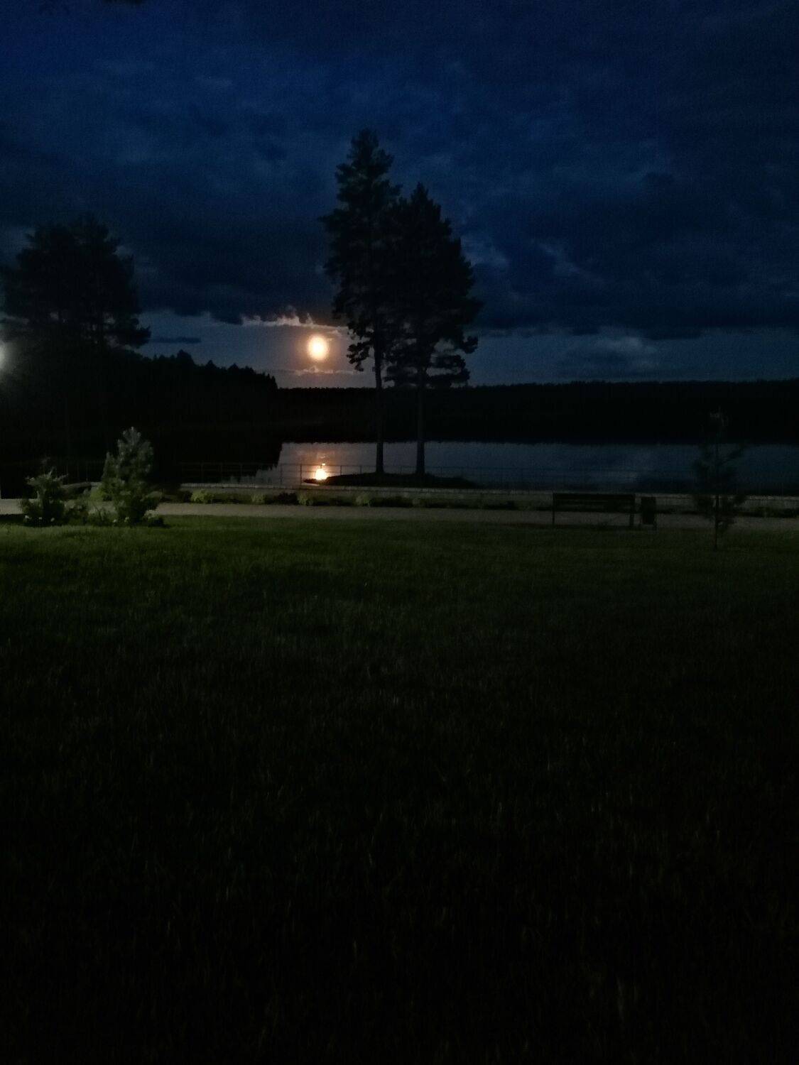 Photo #6162959