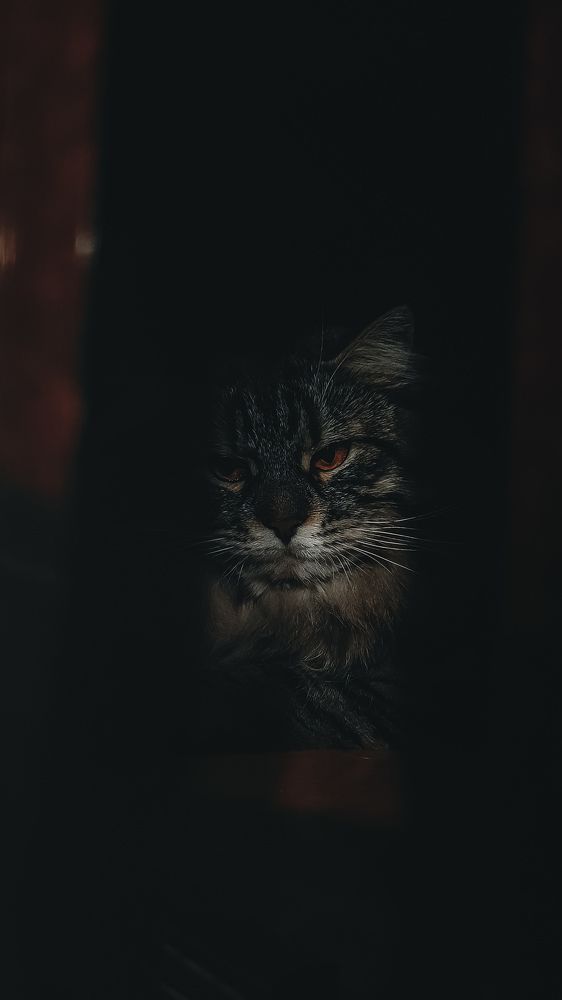 Photograph by Виктор Литошик