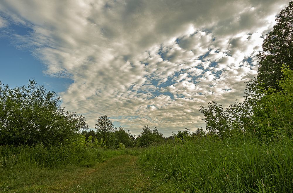 Возле озера Перцы