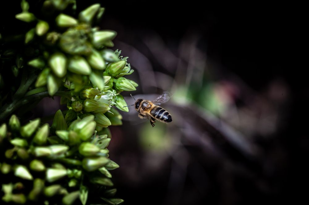 Photograph by Jose Luis Mendez Fernandez