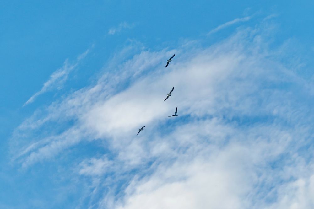 Photograph by Крылов Владимир