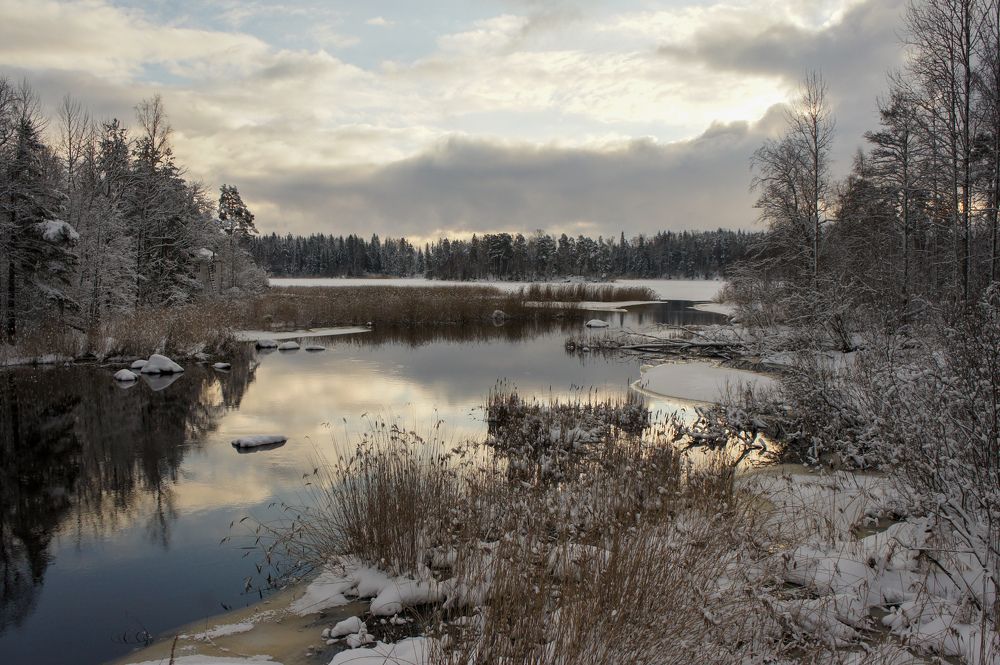 Фотография автора Екатерина Кожевникова
