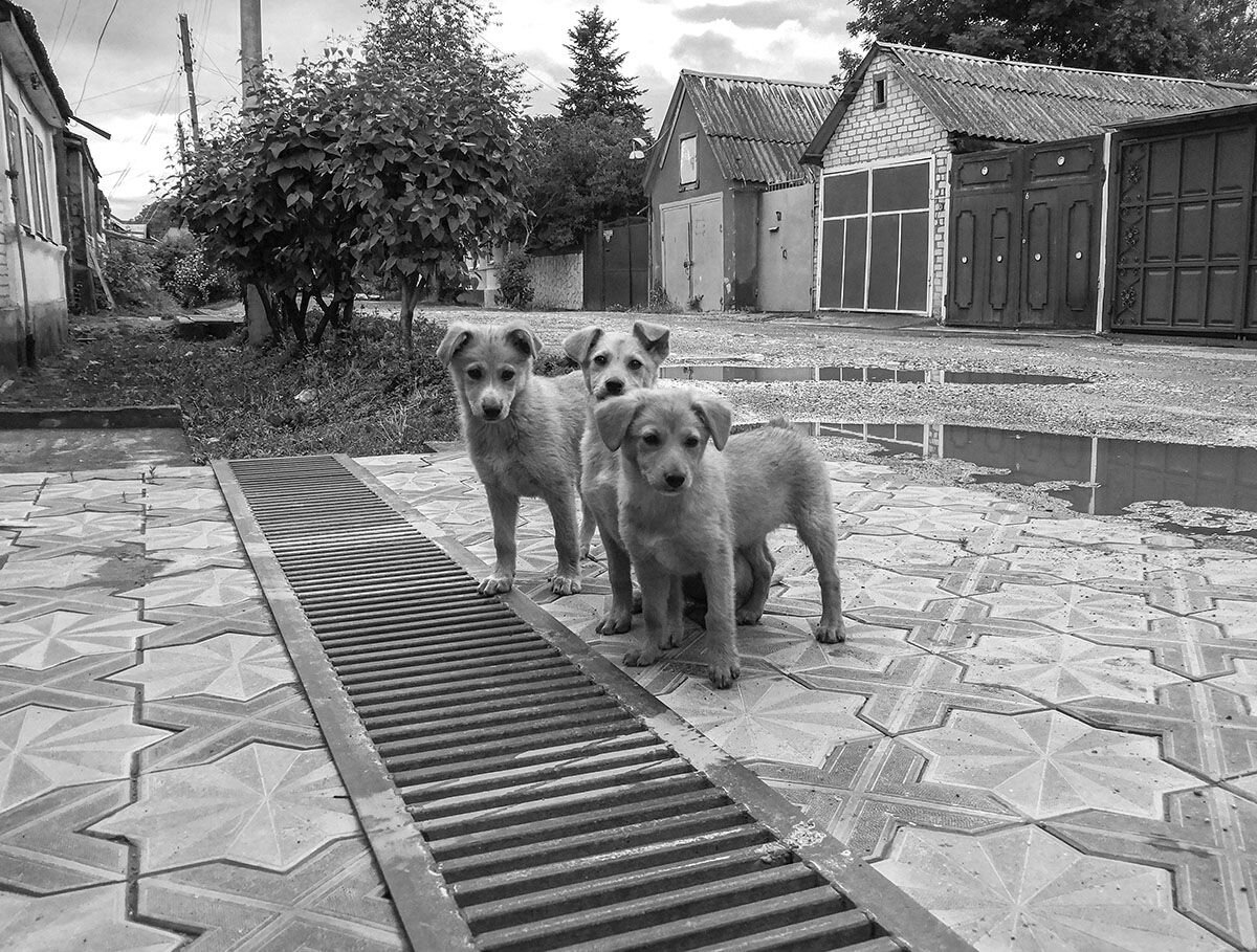 Photo #6163074