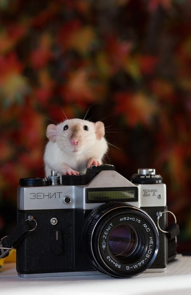 Photograph by Владислав Миронов