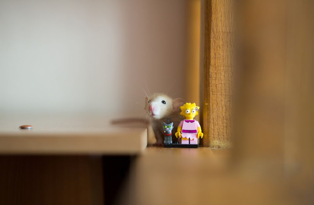 Photograph by Владислав Миронов